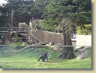 Zoo-Dec2013 (18) * 4896 x 3672 * (6.59MB)